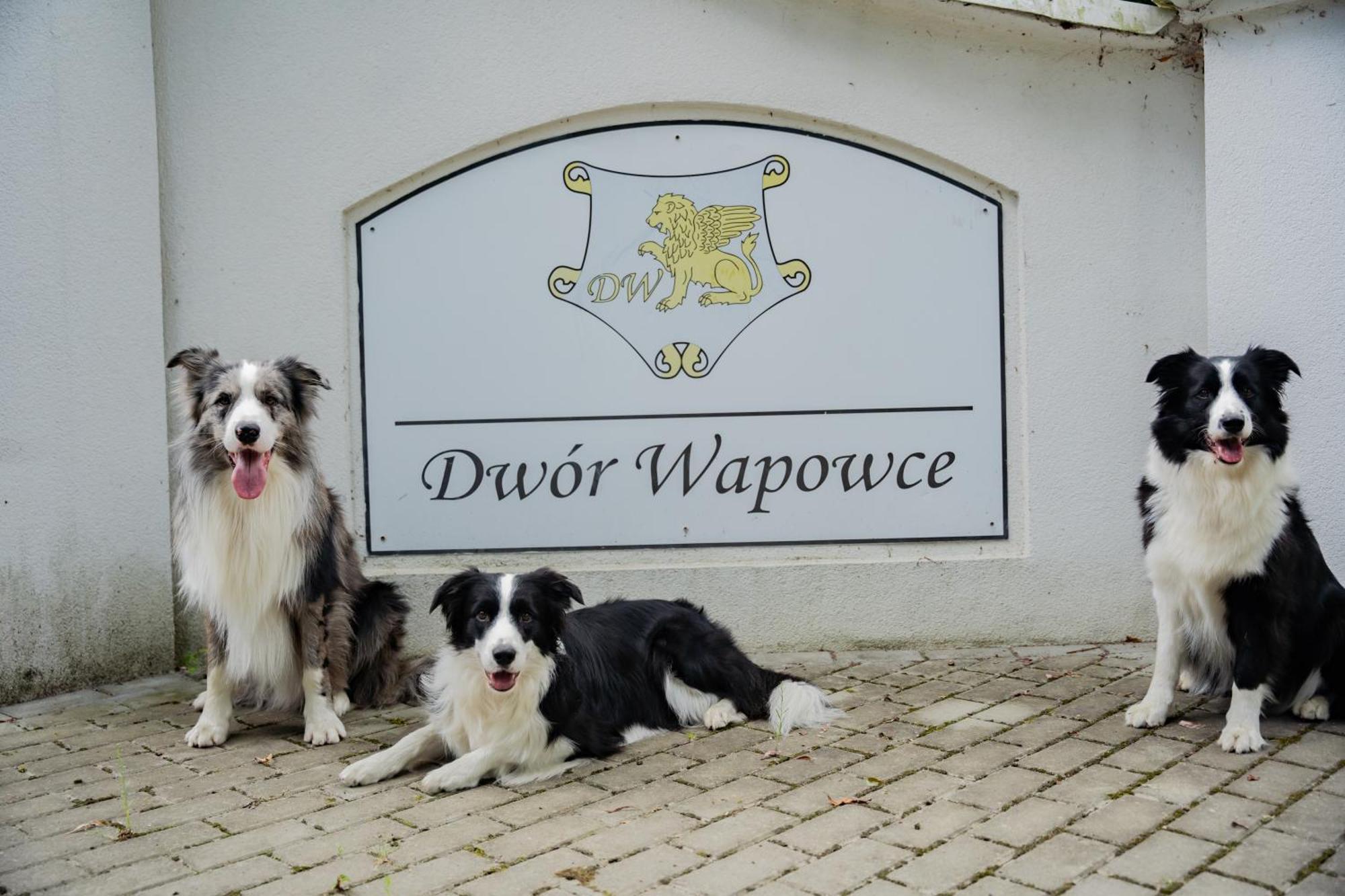 Hotel Dwor Wapowice Esterno foto